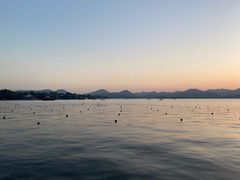 -杭州君悦酒店