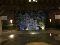 -天目湖涵田半山温泉
