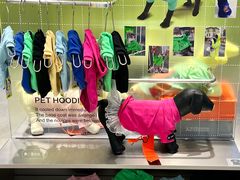 -HOWOW·D2Y(柏威年店)