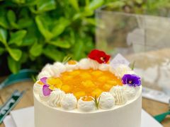 -山与蓝·轻糖鲜果蛋糕(勒泰店)
