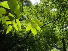 -藏龙百瀑风景区