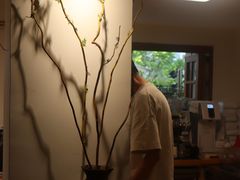 -本無咖啡·BeanWood Coffee