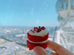 -墨尔本之星 观景摩天轮