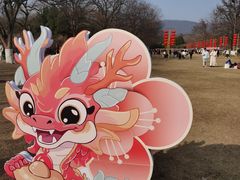 -梅花山(明孝陵内)