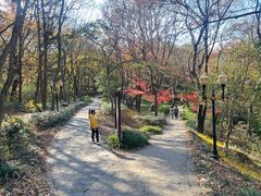-句容茅山景区
