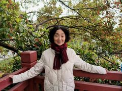 -高东镇樱花园