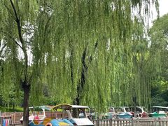 -丰台花园