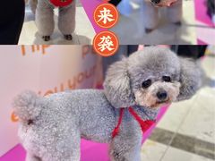 -茂业百货(东门店)