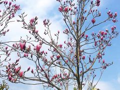 -四川农业大学(雅安校区)