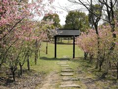 -梁鸿国家湿地公园