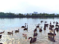 -艾溪湖湿地公园