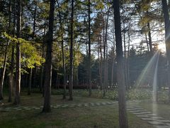 -黑龙江省森林植物园