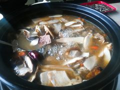 -蘑统田下·野生菌火锅