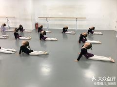 -西安小天鹅艺术团(金花路校区)