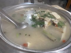 -煲来饱去冷水鱼
