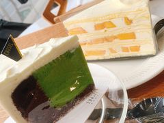 芒果千层-夏佐CHASEL(横店康庄路店)