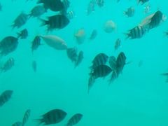 -亚龙湾海底世界