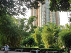 -晓港公园