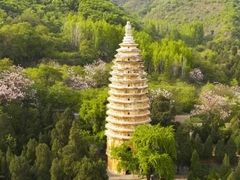 -中原农家乐(中原饭店)