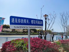-高东镇樱花园