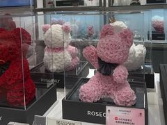 -ROSEONLY诺誓(广州K11店)