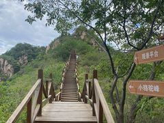 -大岭沟猕猴桃谷风景区