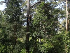 -清迈丛林飞跃 JungleFlight