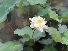 -黄兴公园