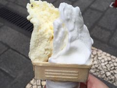 -柠檬车露(卖草地店)