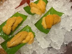 -月龍吟(朝龙汇店)