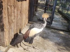 -苏州上方山国家森林公园