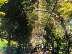 -The Grounds of Alexandria
