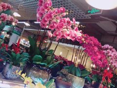 -双季花艺园艺市场(浦东店)