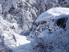 -崂山巨峰游览区