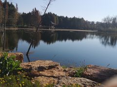 -五甲塘生态湿地公园