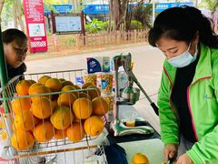 -白沙门生态公园