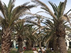 -Cafe Aewol Monsant