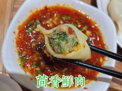 茴香鲜肉饺子-饺子季水饺餐厅(新市街店)