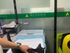 -半岛宠物医院24小时(科华中路店)