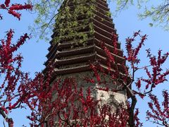 -玲珑塔公园