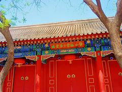 -北京第二实验小学