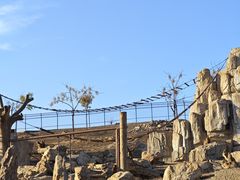 -石家庄市动物园