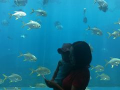 -瑞德姆美人鱼海底演艺主题餐厅(亚龙湾店)