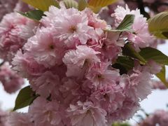 -幕燕滨江·长江观音景区