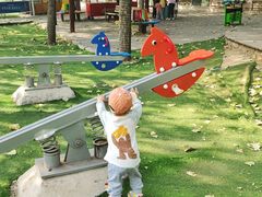 -北京鹿世界主题园