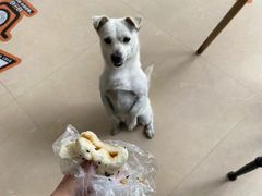 -佳雯宠物医院(信河分店)