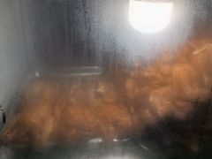 -陶记正宗德州扒鸡(科巷店)