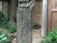 -秀丽东方