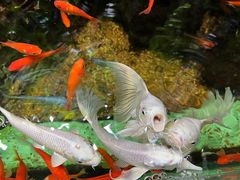 -太平洋海底世界