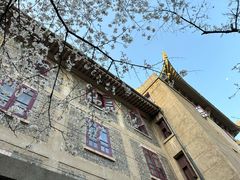 -武汉大学-樱园